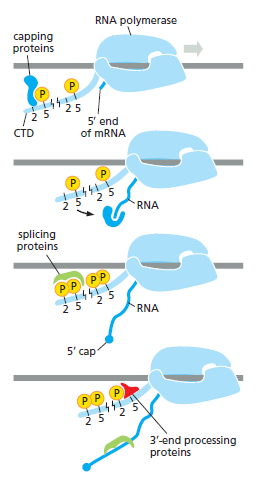 Figure 6-22.png